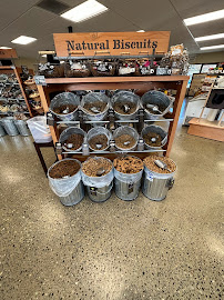 Mud Bay - Photo 8 - Car repair in Issaquah, WA, Seattle