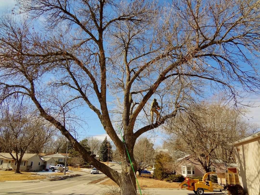 Simply Tree Care LLC