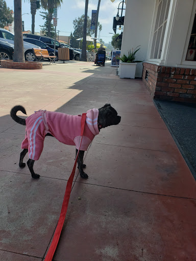 Pet Store «Muttropolis La Jolla», reviews and photos, 7755 Girard Ave, La Jolla, CA 92037, USA