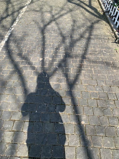 Top 10 cửa hàng đồ gỗ Huyện Đảo Cồn cỏ Quảng Trị 2022