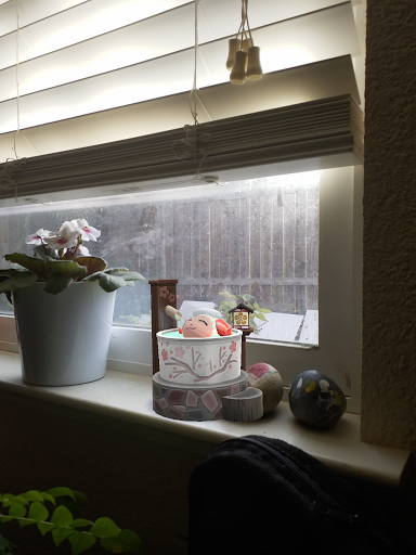 Pet Supply Store «Animal Crossing NW», reviews and photos, 5404 SE 72nd Ave, Portland, OR 97206, USA