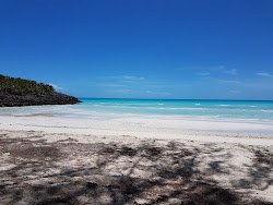 Gaulding Cay beach'in fotoğrafı ve yerleşim