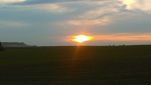 Pet Supply Store «PetSmart», reviews and photos, 4013 Wisconsin 28, Kohler, WI 53081, USA