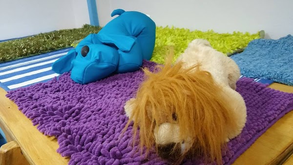 Imagen de Centro de Terapia Infantil Orión (2 de 7)