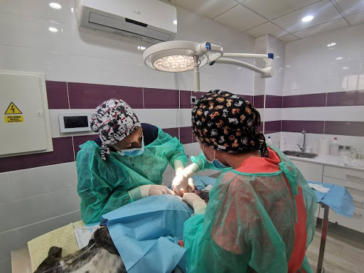 Veterinaria Porreres en Porreres