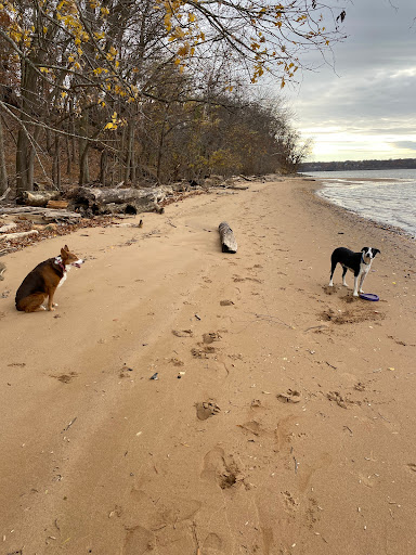 Park «Fort Foote Park», reviews and photos, Fort Foote Rd, Fort Washington, MD 20744, USA