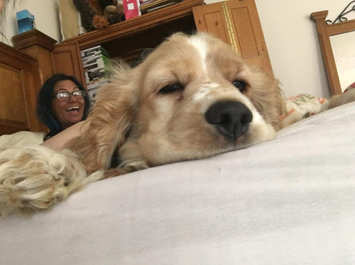 Pet Supply Store «Feeders Supply», reviews and photos, 1610 Ring Rd, Elizabethtown, KY 42701, USA