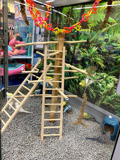 Pet Supply Store «Petco Animal Supplies», reviews and photos, 3452 W Chandler Blvd, Chandler, AZ 85226, USA