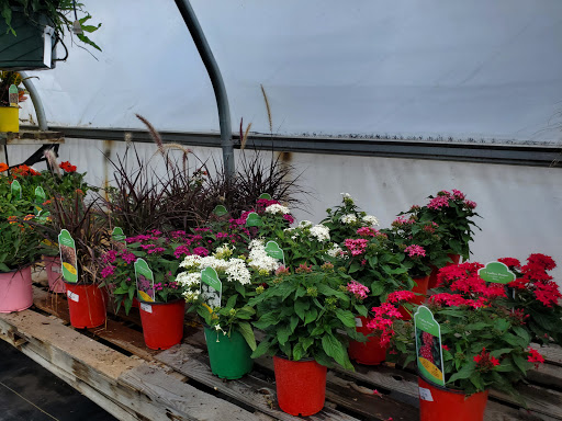 Garden Center «Beachside Gardens & Gifts», reviews and photos, 3725 US-12, Michigan City, IN 46360, USA