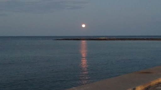 Grocery Store «Brant Rock Market», reviews and photos, 24 Dyke Rd, Marshfield, MA 02050, USA