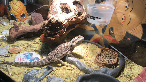 Pet Supply Store «Petco Animal Supplies», reviews and photos, 1514 Country Road 220, Fleming Island, FL 32003, USA