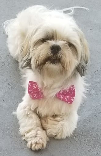 Pet Supply Store «Pet Supermarket», reviews and photos, 1746 E Silver Springs Blvd, Ocala, FL 34470, USA