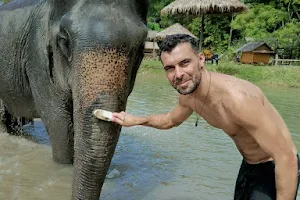 Elephant Sanctuary Phuket image