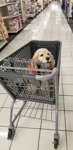 Clothing Store «Burlington Coat Factory», reviews and photos, 3333 N State Rd 7, Lauderdale Lakes, FL 33319, USA