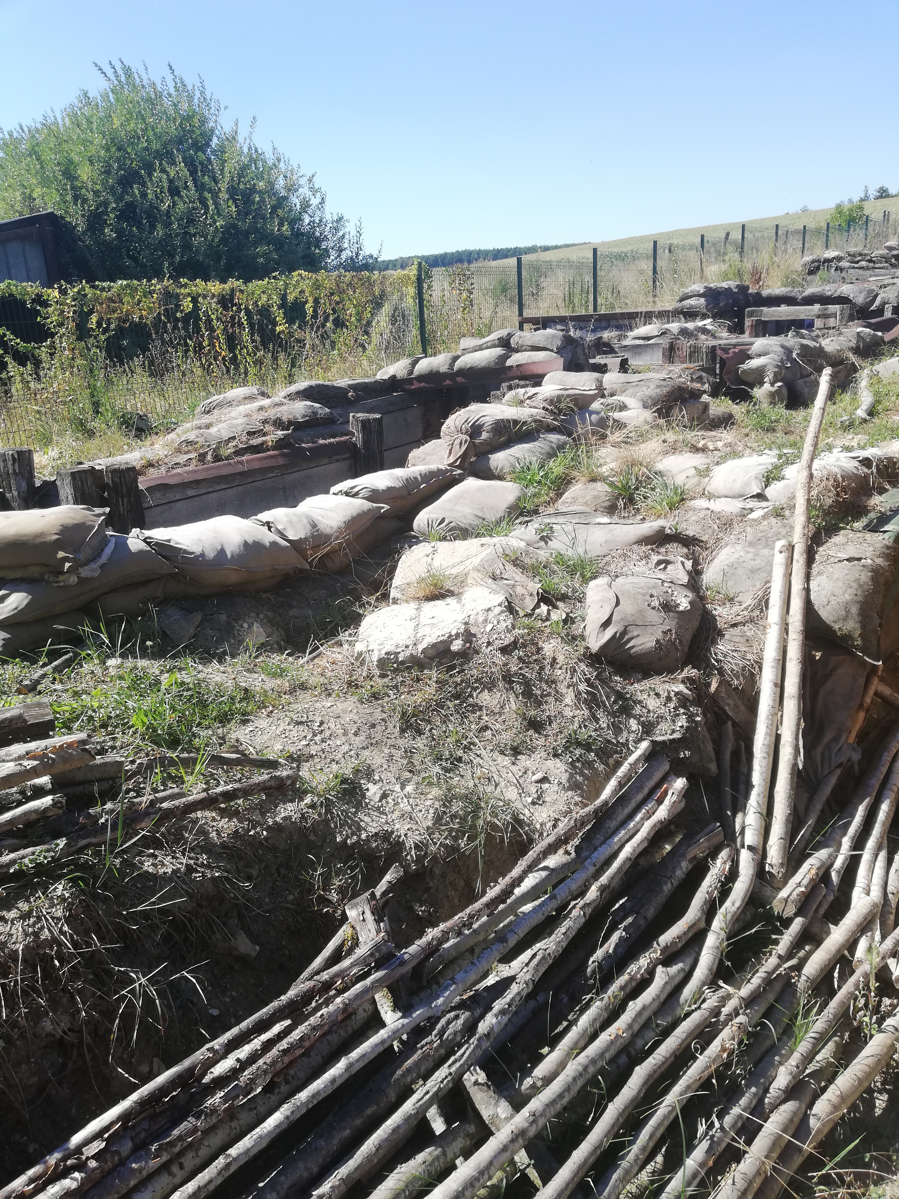 Photo n° 1 de l'avis de alpha.0 fait le 13/08/2022 à 08:24