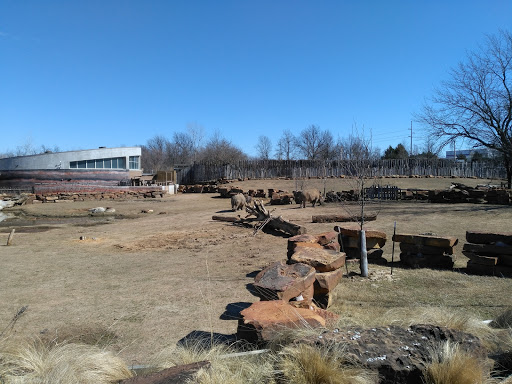 Zoo «Tulsa Zoo», reviews and photos, 6421 E 36th St N, Tulsa, OK 74115, USA