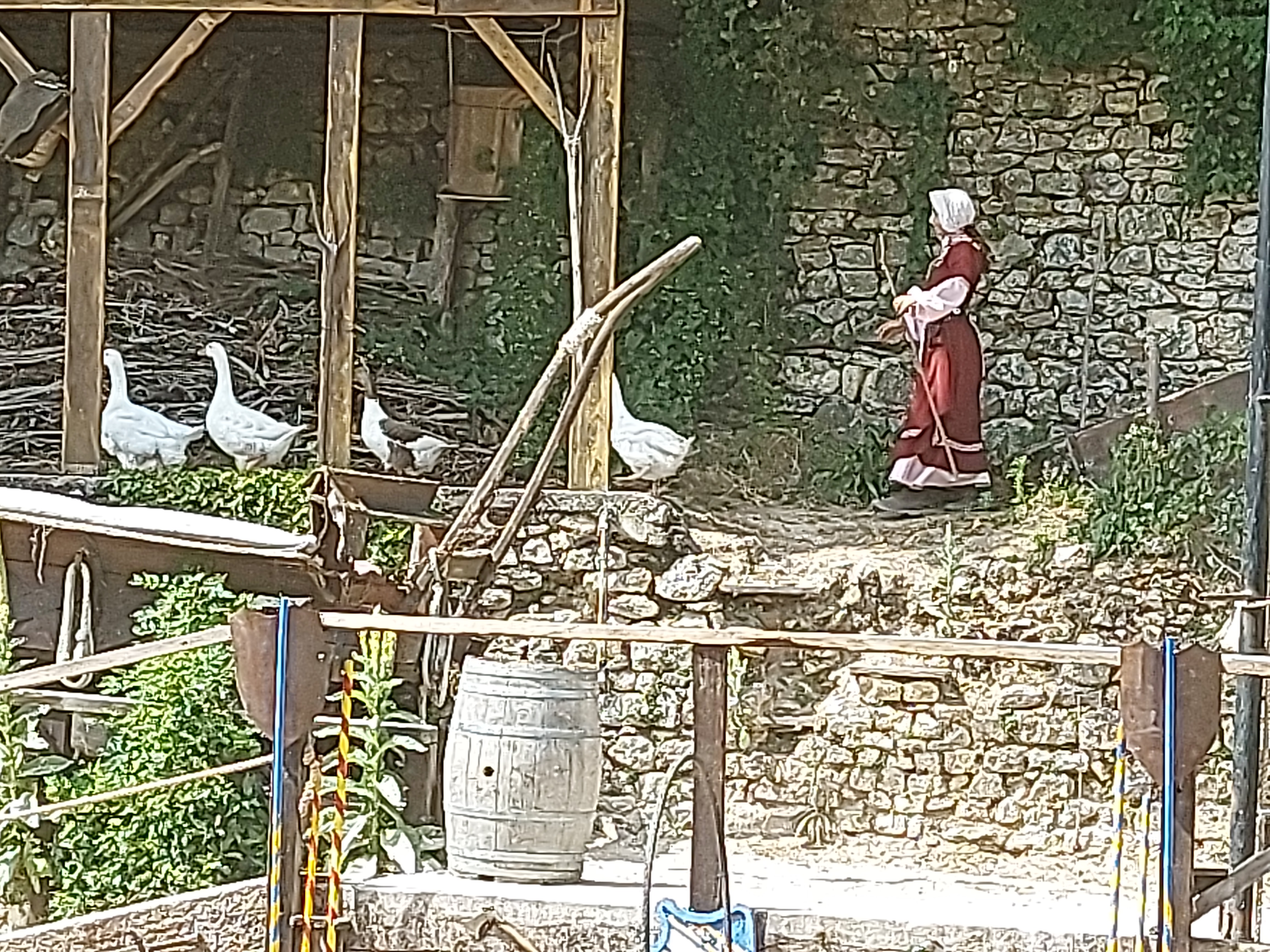 Photo n° 5 de l'avis de Dalicieux.a fait le 19/06/2022 à 20:25
