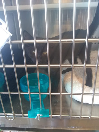 Pet Supply Store «Petsense Cleburne», reviews and photos, 1301 W Henderson St, Cleburne, TX 76033, USA