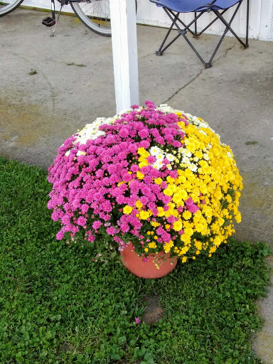 Home Goods Store «Dollar General», reviews and photos, 2649 Main St, Whitney Point, NY 13862, USA