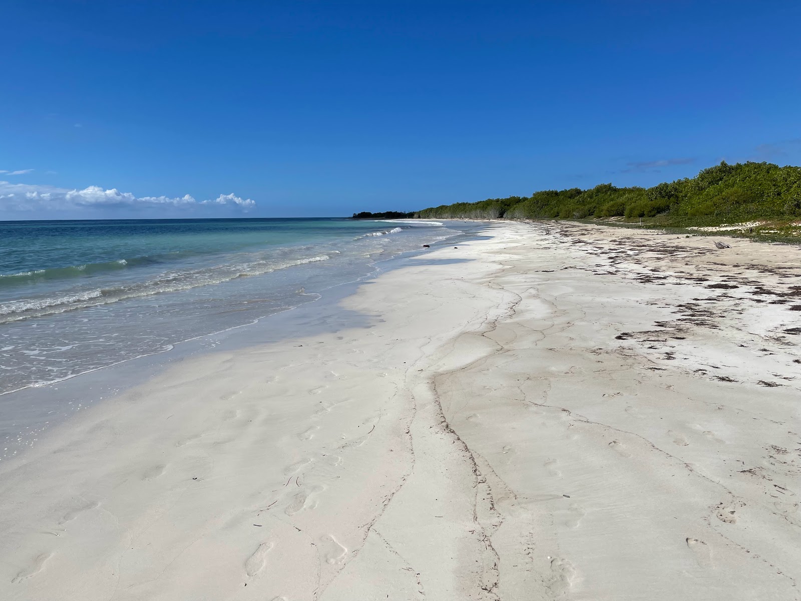 Fotografija Jackson Bay Beach z svetel fin pesek površino