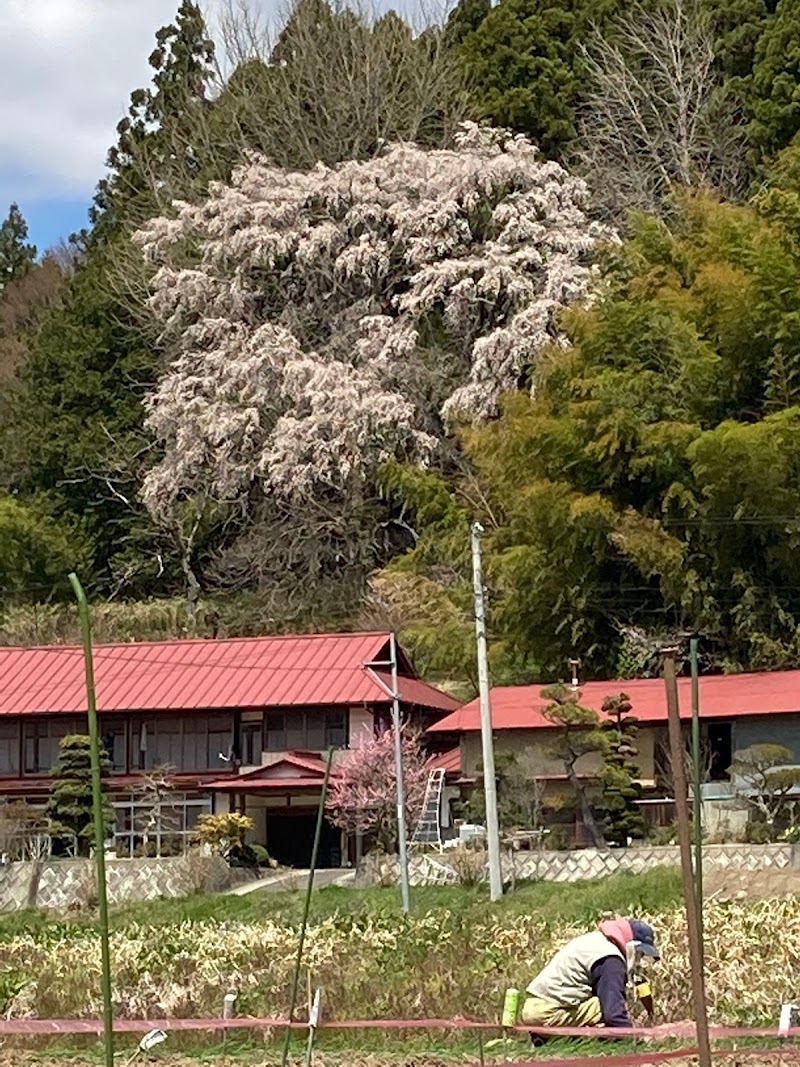 前ノ内の桜とお堂