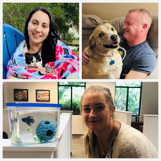 Insurance Agency «Allison DiTullio - State Farm Insurance Agent», reviews and photos