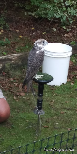 Museum «Vancouver Water Resources Education Center», reviews and photos, 4600 SE Columbia Way, Vancouver, WA 98661, USA