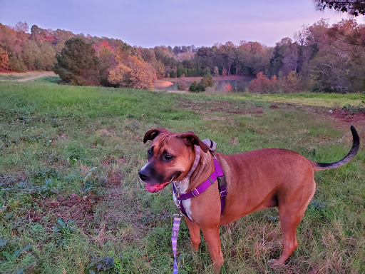 Arboretum «The University of Alabama Arboretum», reviews and photos, 4801 Arboretum Way, Tuscaloosa, AL 35404, USA