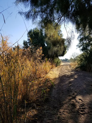 Marana Rock Disc Golf Course