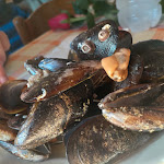 Photo n°3 de l'avis de Bocciaforus. fait le 18/12/2022 à 19:01 sur le  Scilla e Cariddi à Fiumicino