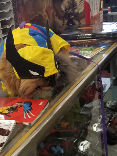 Comic Book Store «The Comic Book Shop!», reviews and photos, 1855 Marsh Rd, Wilmington, DE 19810, USA