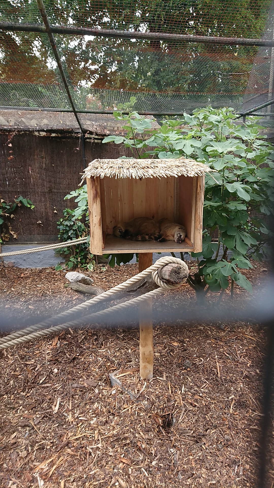 Photo n° 2 de l'avis de emelinetchems.e fait le 21/08/2018 à 06:53