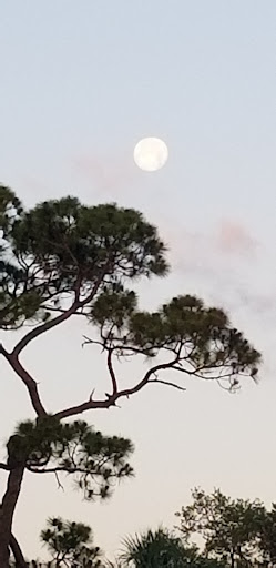 Private Golf Course «Adios Golf Course», reviews and photos, 7740 NW 39th Ave, Coconut Creek, FL 33073, USA