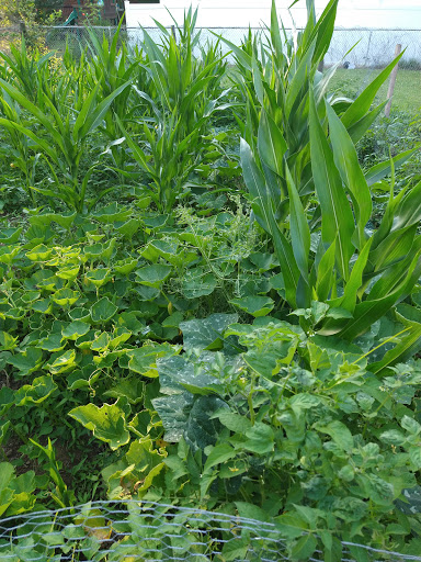 Park «Hounz Lane Park», reviews and photos, 2300 Hounz Ln, Louisville, KY 40223, USA