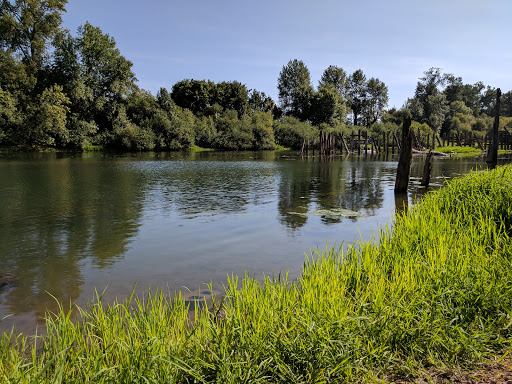 Tourist Attraction «Chehalem Paddle Launch», reviews and photos, 3100 SE 8th St, Dundee, OR 97115, USA