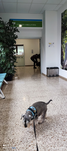 Hospital Veterinario Universitario Rof Codina en Lugo