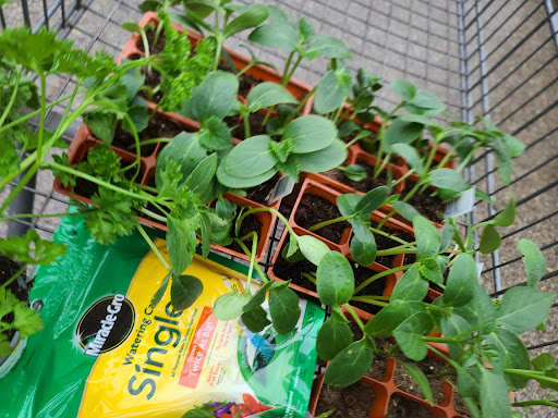 Home Improvement Store «Menards», reviews and photos, 3215 W North Ave, Melrose Park, IL 60160, USA