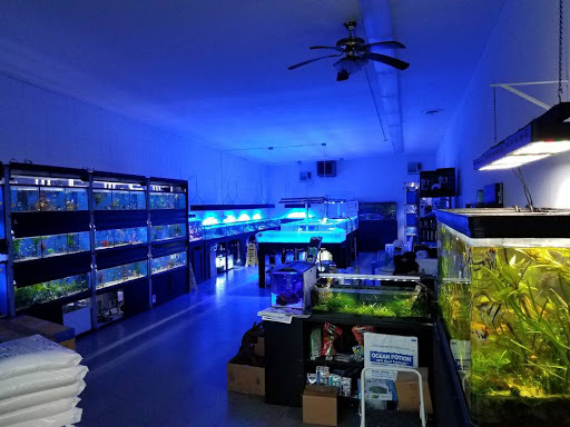 Tropical Fish Store «Tropical Fish International», reviews and photos, 1080 Saratoga Ave #11, San Jose, CA 95129, USA