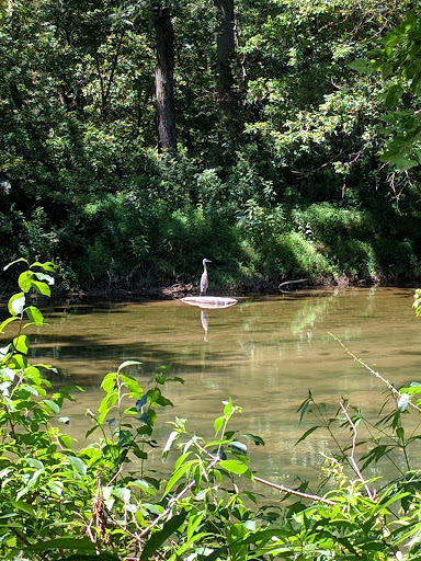 State Park «Hammerman Area Beach», reviews and photos, 7200 Graces Quarters Road, Middle River, MD 21220, USA