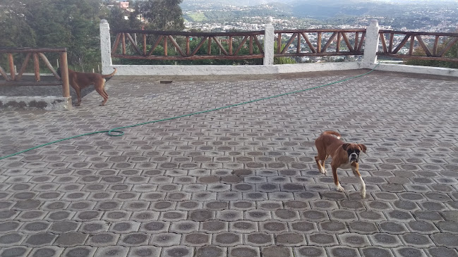 Opiniones de De Perros con Carlos Cortez en Quito - Guardería