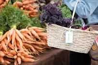 Well Balanced Nutrition - Car repair in Durham, NC, Raleigh - Rated 4.9/5