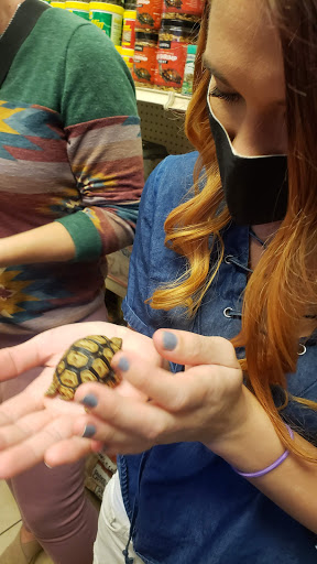 Pet Store «Fosters Exotic Pet Center», reviews and photos, 40116 US Hwy 19 N, Tarpon Springs, FL 34689, USA