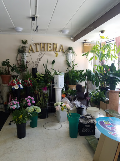 Florist «Athena Flowers», reviews and photos, 6039 W Addison St, Chicago, IL 60634, USA