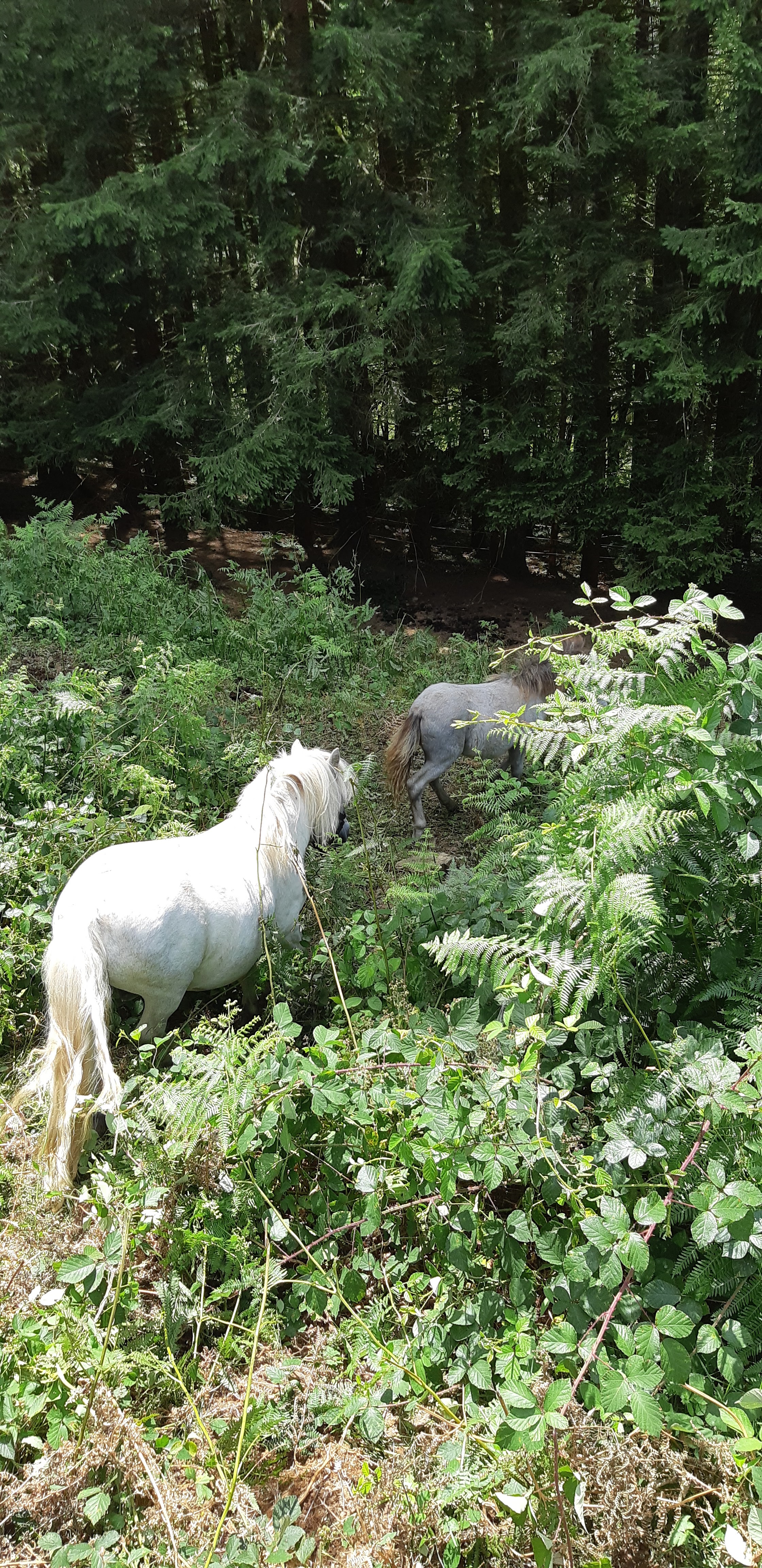 Photo n° 22 de l'avis de Anthony. fait le 03/08/2019 à 16:00