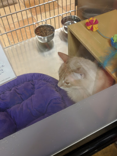 Pet Supply Store «PetSmart», reviews and photos, 573 N McKinley St, Corona, CA 92879, USA