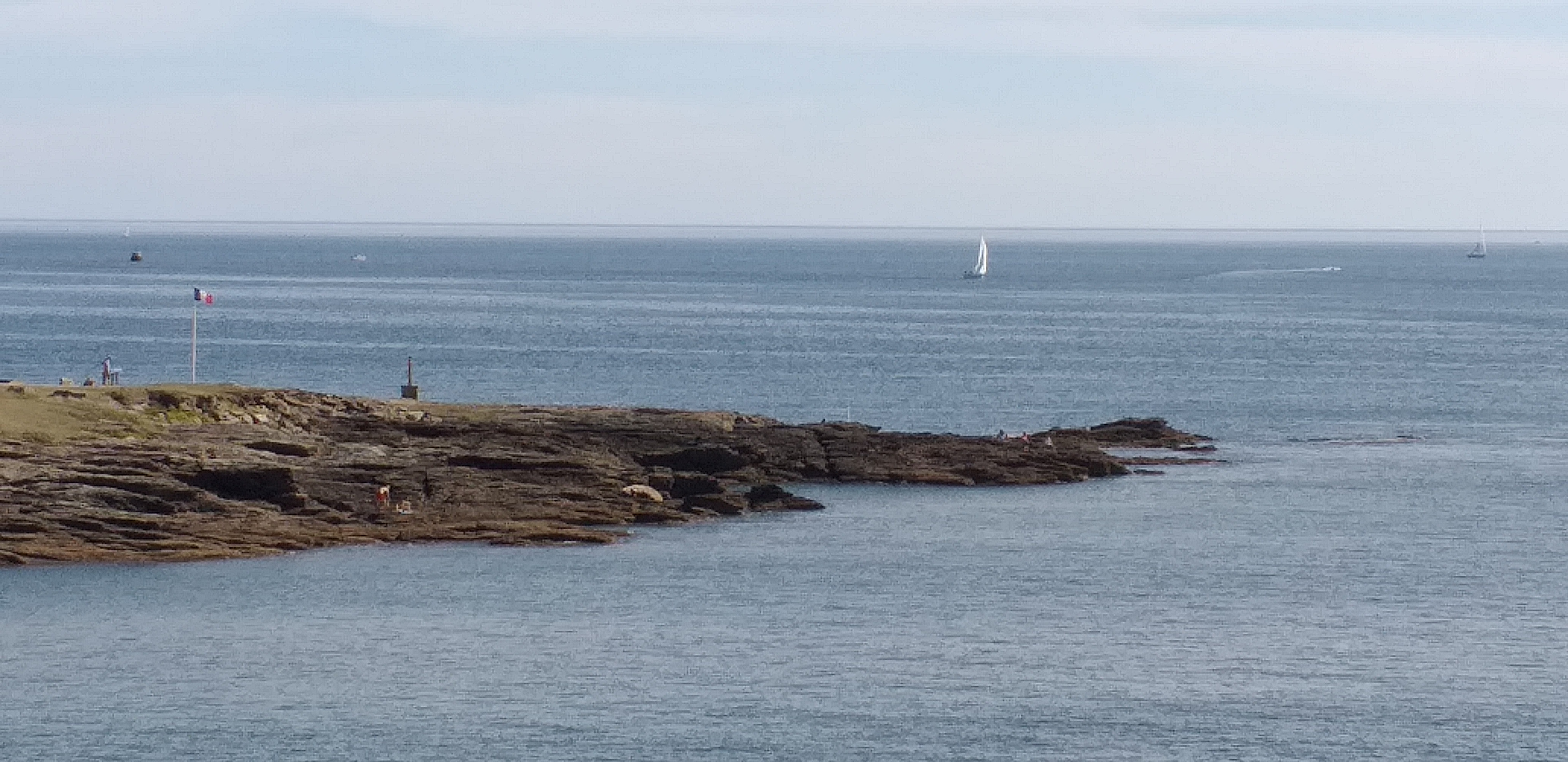 Photo n° 16 de l'avis de Jean-marc.e fait le 19/09/2019 à 17:17