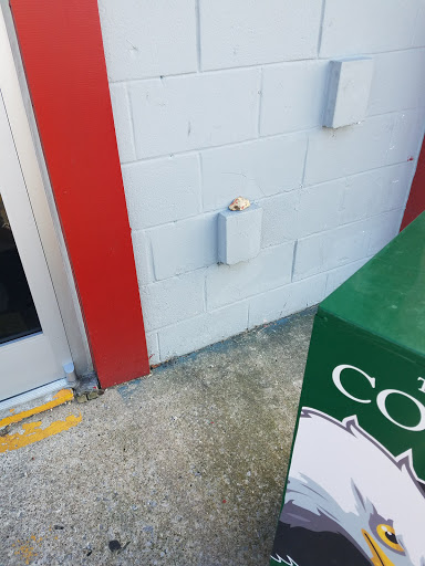 Pet Store «Pet Land», reviews and photos, 1450 Fort Campbell Blvd, Clarksville, TN 37042, USA