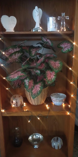 Larsen Florists & Greenhouses, 1342 W Glen Flora Ave, Waukegan, IL 60085, USA, 