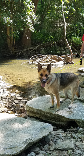 Nature Preserve «Sweet Arrow Reserve», reviews and photos, 789 Little Sugarcreek Rd, Sugarcreek Township, OH 45440, USA