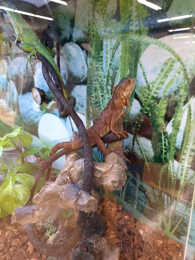 Pet Supply Store «Petco Animal Supplies», reviews and photos, 600 NE Vivion Rd, Kansas City, MO 64118, USA